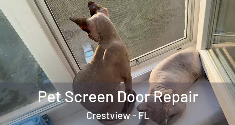  Pet Screen Door Repair Crestview - FL